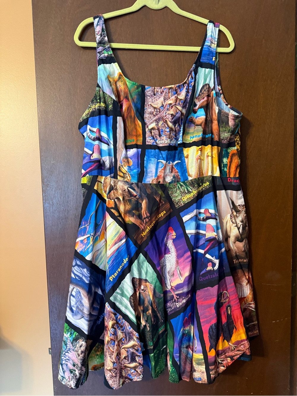 Retrolicious Dinosaur dress with pockets EUC. Size 3x